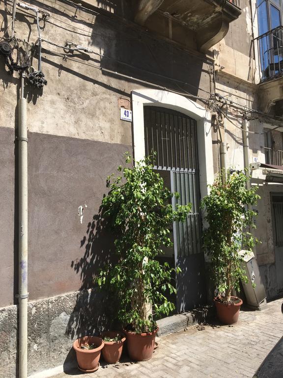 Casa Vacanza Civita Catania Centro Apartman Kültér fotó